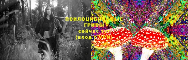 ешки Няндома