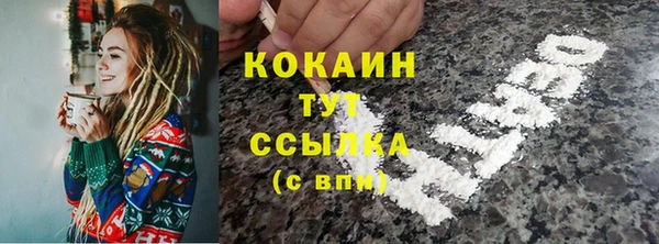 ешки Няндома