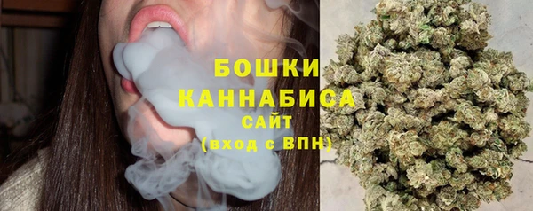 сатива Новокубанск