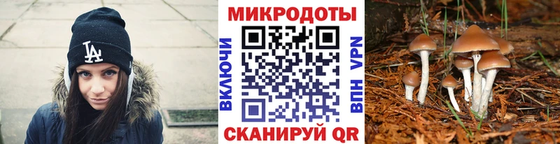hydra зеркало  Калтан  Галлюциногенные грибы MAGIC MUSHROOMS 